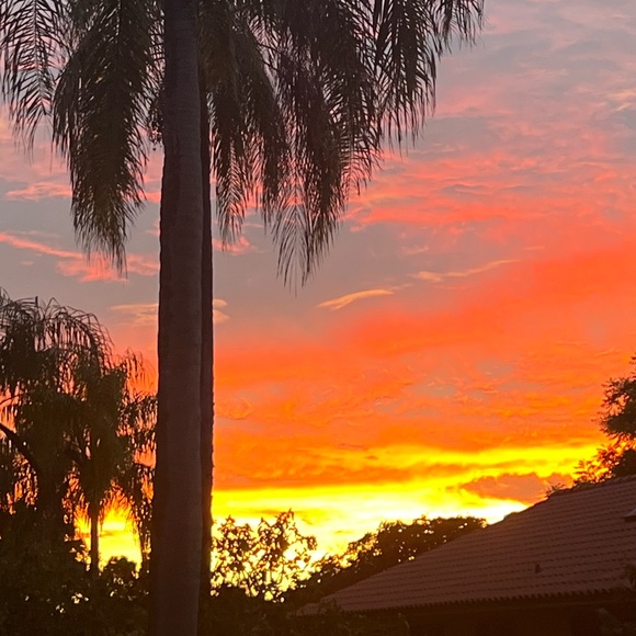 Unlisted inventory - Picture 2 of 4